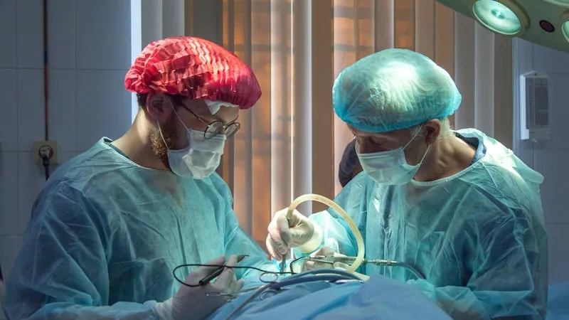 Healthcare and Insurance in Russia for Expats: What You Need to Know